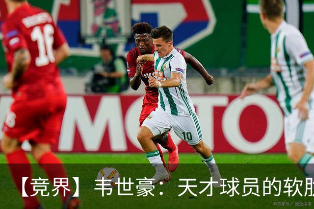 【竞界】韦世豪：天才球员的软肋 洪七公效应的外溢