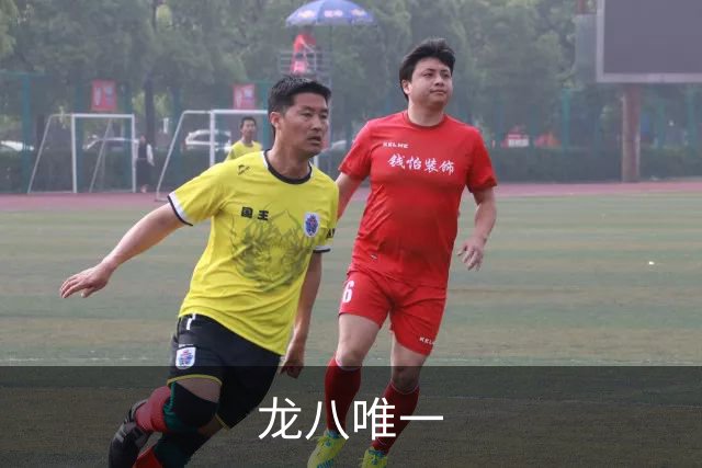 龙八唯一公司介绍图片